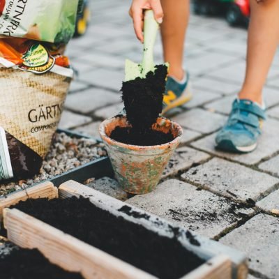 gardening 1
