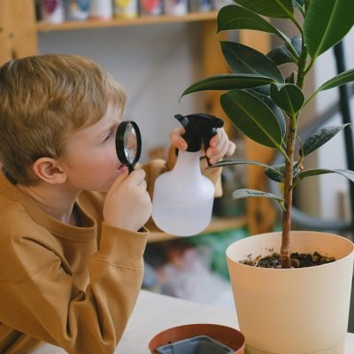 plant investigating